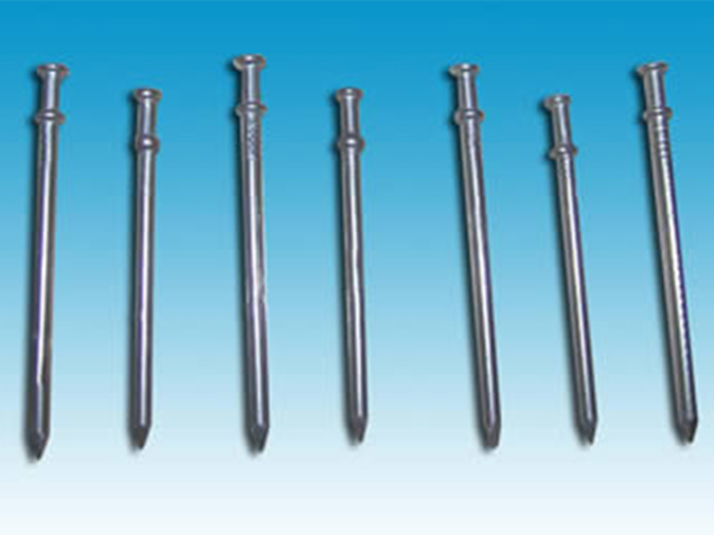 Formation de l'ongle à double tête